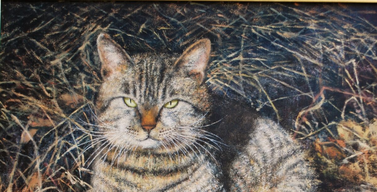 猫の絵 painterTMK真筆 猫油絵 動物の絵 動物画 油絵絵画 モフモフ 