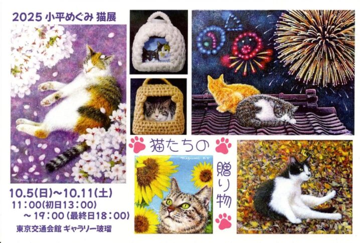 個展DM画像